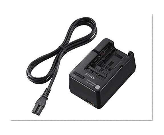 Sony Battery Charger | BCQM1