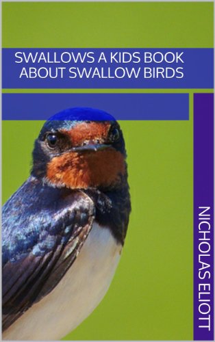 Swallows a kids book about swallow birds