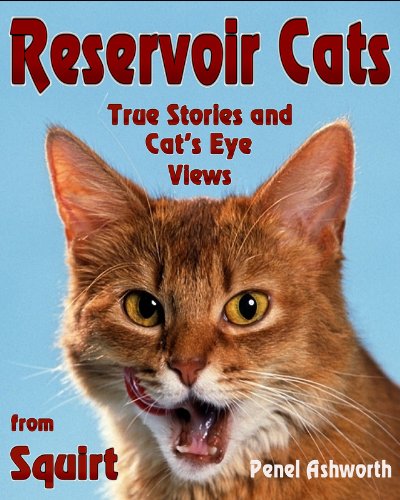 Reservoir Cats: True Stories and Cat's Eye Views from Squirt