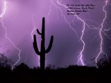The Lost Santa Rita Gold Mine: A Will Cannon, Bounty Hunter, Western Adventure Novel