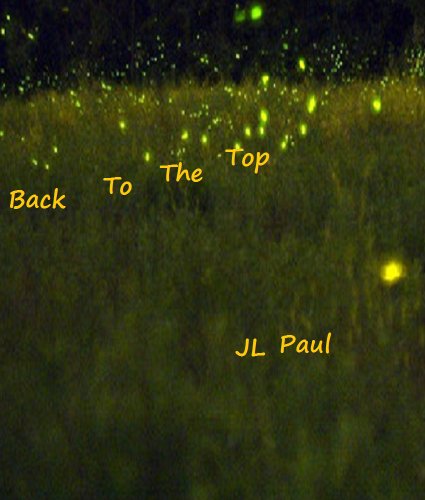 Back to the Top (Ross Records Series Book 3)
