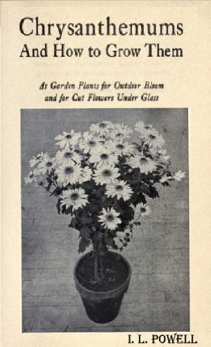Chrysanthemums, and how to grow them as garden plants for outdoor bloom and for cut flowers under glass