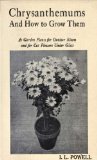 Chrysanthemums, and how to grow them as garden plants for outdoor bloom and for cut flowers under glass