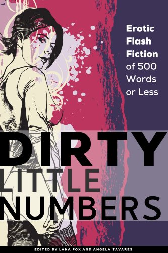 Book Cover Dirty Little Numbers: Erotic Flash Fiction of 500 Words or Less