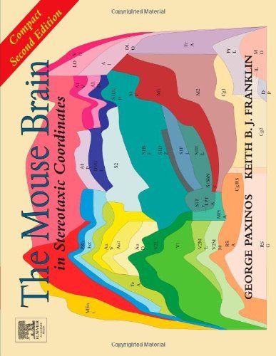 The Mouse Brain in Stereotaxic Coordinates: Compact Second Edition [Paperback] [2003] (Author) Dr. George Paxinos