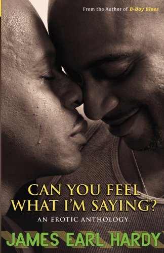 Can You Feel What I'm Saying?: An Erotic Anthology [Paperback] [2012] (Author) James Earl Hardy