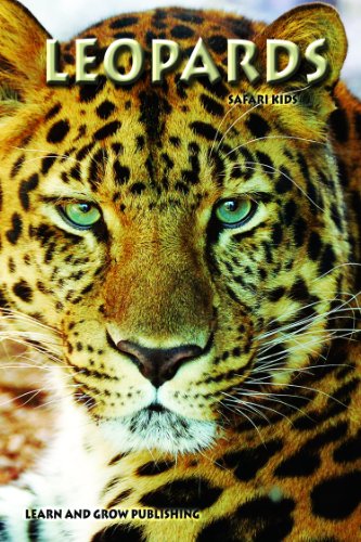 Leopards (Safari Kids)