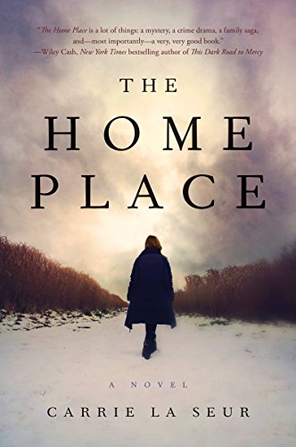 Book Cover The Home Place: A Novel