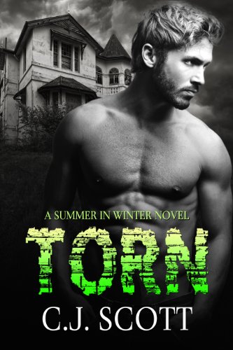 Torn (Summer In Winter)