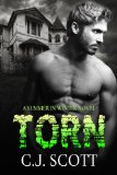Torn (Summer In Winter)