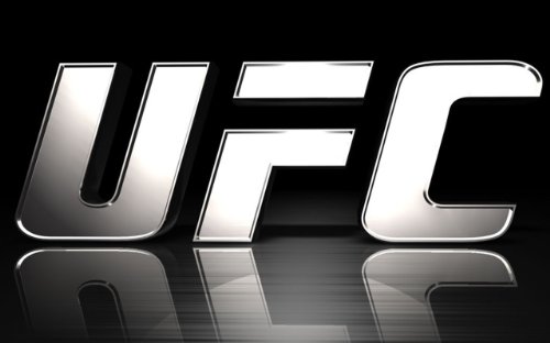 UFC fighter history 1 (The best of the best in the UFC)