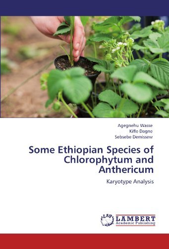Some Ethiopian Species of Chlorophytum and Anthericum: Karyotype Analysis [Paperback] [2012] (Author) Agegnehu Wasse, Kifle Dagne, Sebsebe Demissew