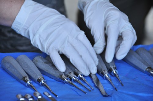 DENTAL INSTRUMENT SETUPS - BASIC EXAMINATION AND ANESTHETIC, RESTORATIVE, SURGICAL, PERIODONTIC, ENDODONTIC AND PROSTHODONTIC INSTRUMENTS