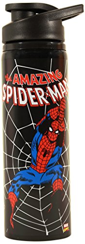 Book Cover Silver Buffalo Marvel Spider-Man Swings Stainless Steel Water Bottle, 25-Ounces