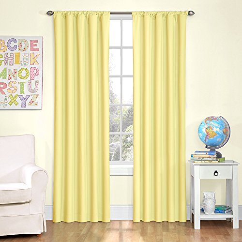 Book Cover ECLIPSE Microfiber Thermal Insulated Single Panel Rod Pocket Room Darkening Privacy Curtains for Nursery, 42