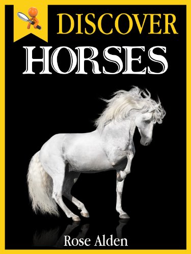 Discover Horses - Fun Facts For Kids