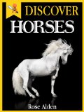 Discover Horses - Fun Facts For Kids