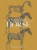 The Anatomy of the Horse