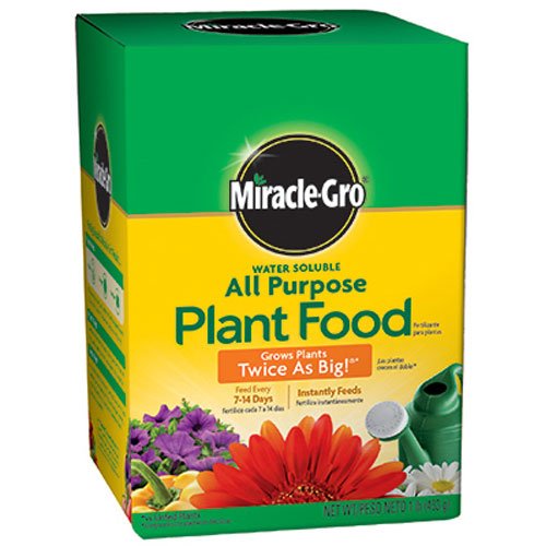 Book Cover Miracle-Gro Pound 160101 Water-Soluble All Purpose Plant Food, 24-8-16, 1-Po