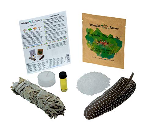 Book Cover Home Cleansing & Blessing Kit -:- Includes Fresh California White Sage Smudge Stick + Smudging Feather + Blessed Anointing Oil + Tea Light Candle + Coarse Grain Sea Salt