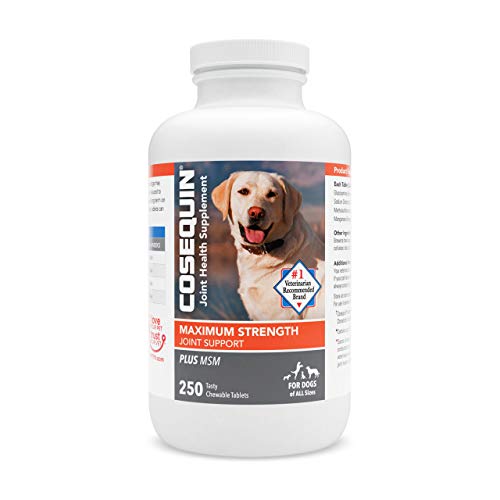 Book Cover Nutramax Cosequin Maximum Strength Joint Health Supplement for Dogs - With Glucosamine, Chondroitin, and MSM, 250 Chewable Tablets