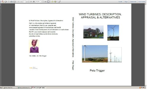 Wind Turbines: Description, Appraisal & Alternatives