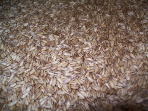 Organic Whole Oat Groats: Raw Hulless Oats, Organic and non GMO Farmer Direct 15 lbs.