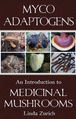 Myco Adaptogens: An Introduction to Medicinal Mushrooms