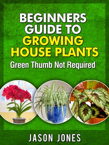 Beginners Guide To Growing House Plants