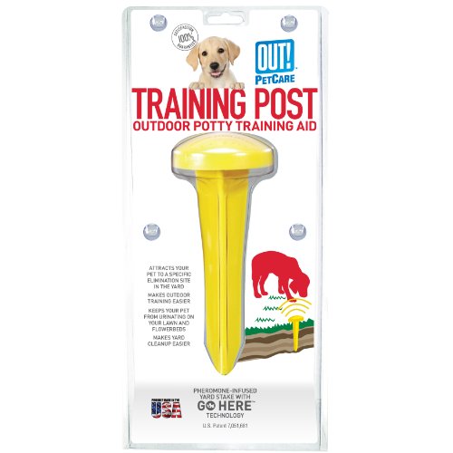 Book Cover OUT! Training Post Outdoor Potty Training Aid