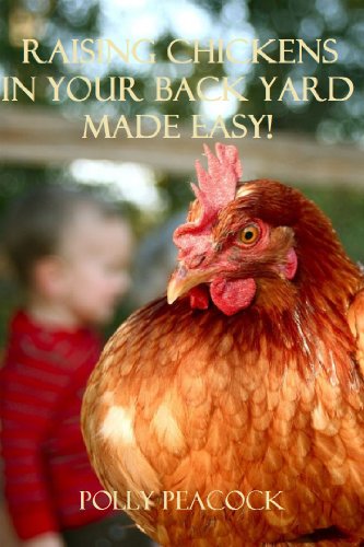 The Urban Chicken Movement Backyard Chicken's Made Easy