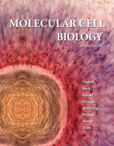 Molecular Cell Biology by Lodish, Harvey Published by W. H. Freeman 7th (seventh) edition (2012) Hardcover
