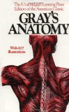 Gray's Anatomy: The Unabridged Running Press Edition Of The American Classic by Henry Gray Published by Running Press Later Printing edition (1974) Paperback