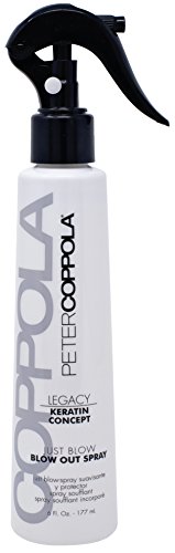 Peter Coppola Keratin Concept Just Blow â€“ Blow Dry Spray â€“ 6 oz â€“ Heat Protectant Spray for Hair â€“ Reduces Blow Dry Time, Smoothes and Straightens all Hair Types - Conditions and Adds Shine
