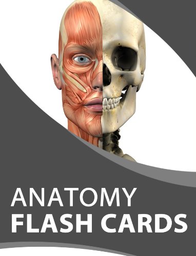 Anatomy Cards