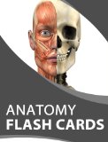 Anatomy Cards