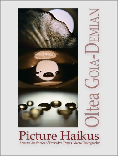 Picture Haikus - Abstract Art Photos of Everyday Things. Macro Photography