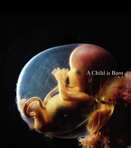 A Child is Born by Nilsson, Lennart (2010) Hardcover