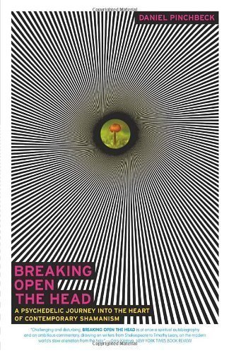 Breaking Open the Head: A Psychedelic Journey into the Heart of Contemporary Shamanism by Pinchbeck, Daniel (2003) Paperback