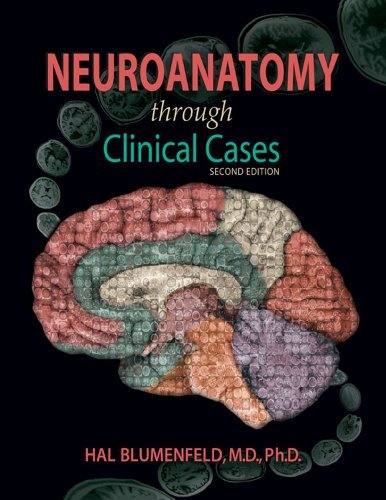 By Hal Blumenfeld - Neuroanatomy through Clinical Cases (Blumenfeld, Neuroanatomy Through Clinical Cases) (2nd edition) (4/19/10)
