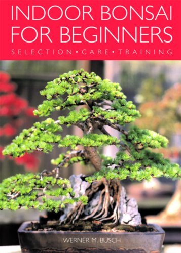 By W. Busch - Indoor Bonsai for Beginners (7/16/05)