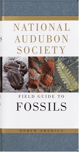 By Ida Thompson - National Audubon Society Field Guide to North American Fossils (12.2.1993)
