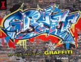 By Scape Martinez - Graff: The Art and Technique of Graffiti (2/25/09)