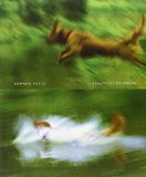 By Edward R. Tufte - Beautiful Evidence (6/15/06)