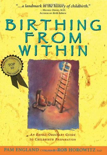 By Pam England - Birthing from within: An Extra-Ordinary Guide to Childbirth Preparation (9/28/98)