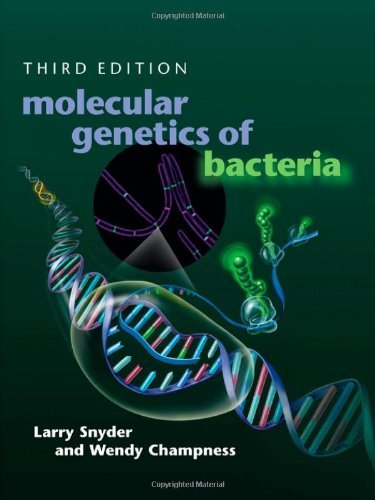 By Larry Snyder - Molecular Genetics of Bacteria (3rd Revised edition) (6.12.2007)