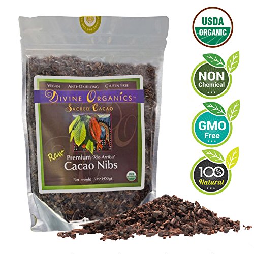 Book Cover Divine Organics Raw Cacao/Cocoa Nibs - Certified Organic - Premium Rio Arriba - Smoothies, Baking, Snacks, Salads, Trail Mixes - Chocolate Chips Substitute - Rich in Magnesium (16oz)