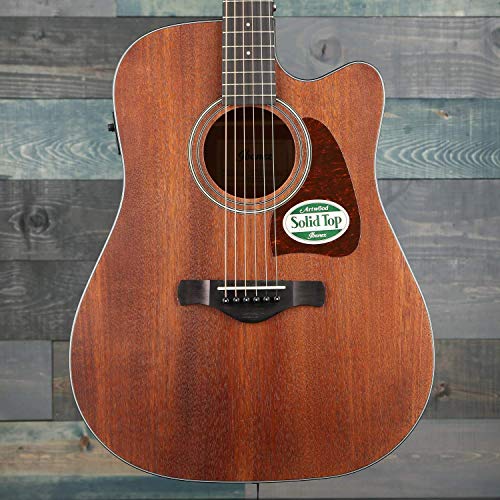 Book Cover Ibanez AW54CEOPN Artwood Dreadnought Acoustic/Electric Guitar - Open Pore Natural