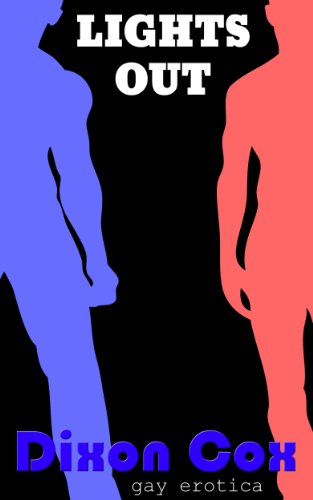 Lights Out (first time gay erotica in the library)