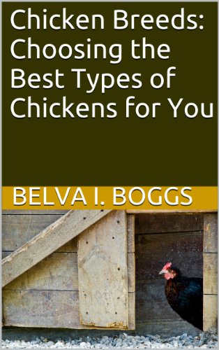 Chicken Breeds: Choosing the Best Types of Chickens for You